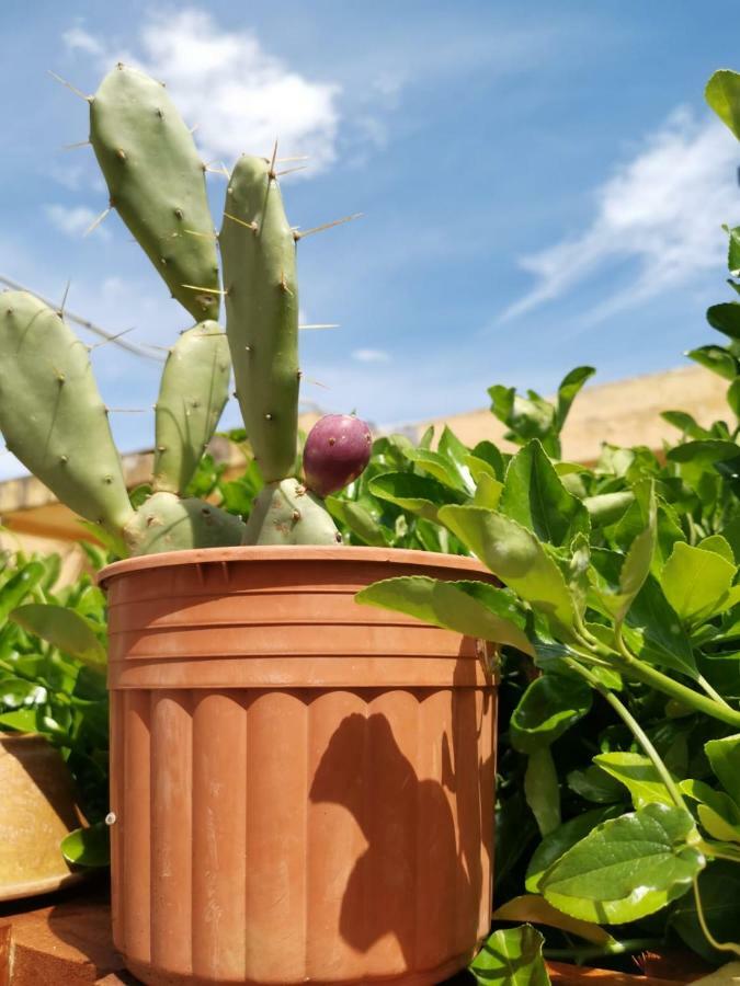 B&B Scogli Bianchi Lido di Noto Экстерьер фото